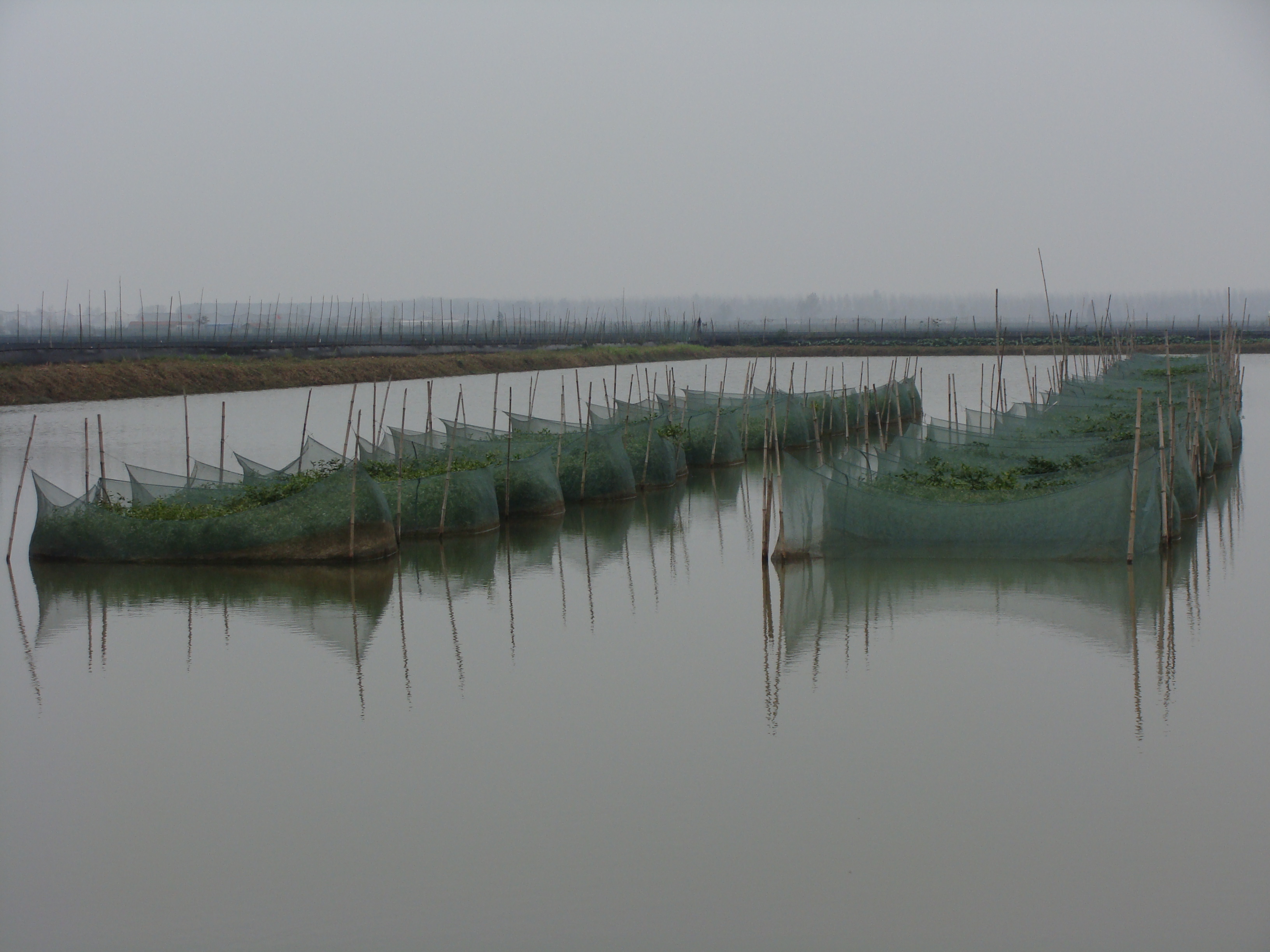 17喜鹊湖黄鳝基地.JPG