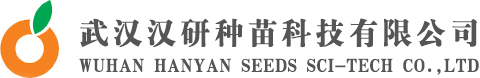 汉研.jpg